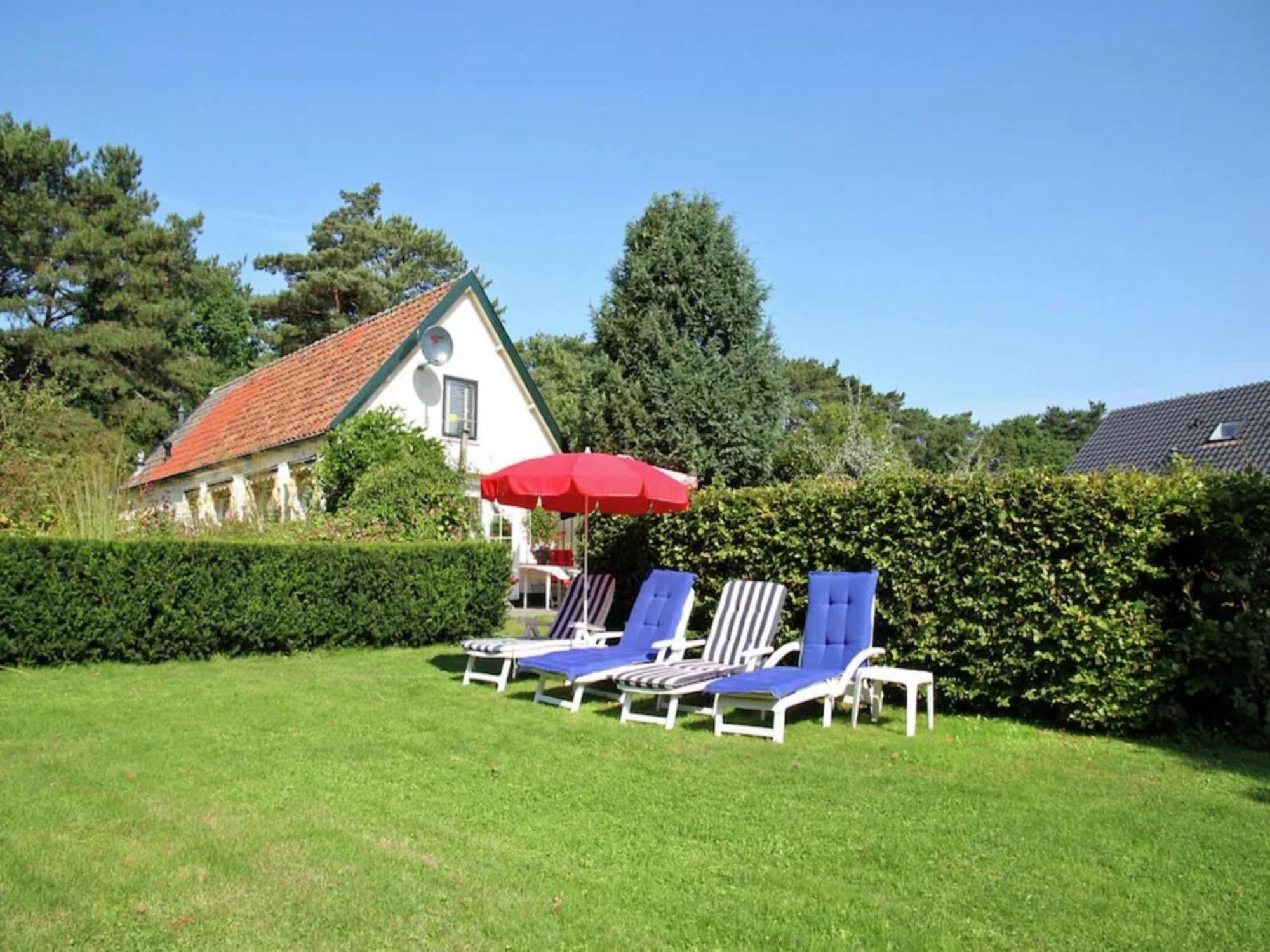 Bonte Specht Villa Schoorl Ngoại thất bức ảnh