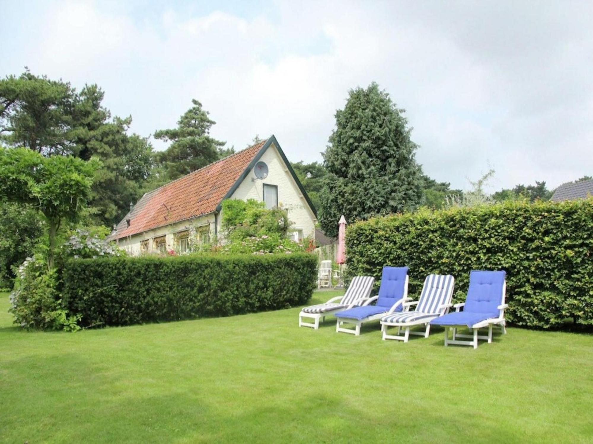 Bonte Specht Villa Schoorl Ngoại thất bức ảnh